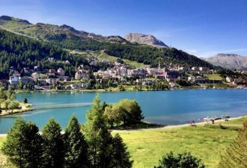 a view of a lake with a town and mountains at Skyline 214 in St. Moritz