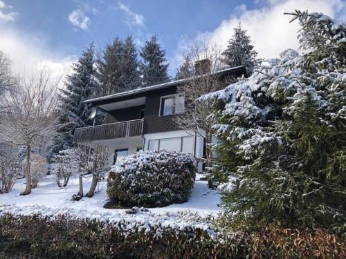 une maison recouverte de neige et d'arbres dans l'établissement Chalet BERGglück Willingen, à Willingen