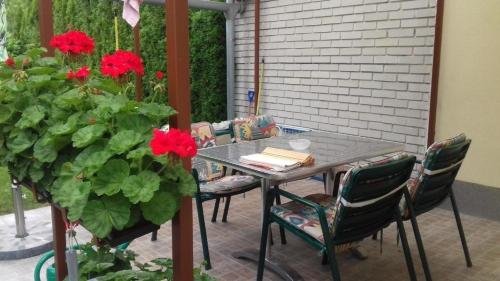 une table, des chaises et une plante avec des fleurs rouges dans l'établissement Klimatisiertes Ferienhaus in Bükfürd mit Botanischem Garten, à Bük
