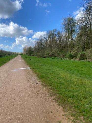 a dirt road in the middle of a field at Ecolodge Almere in Almere