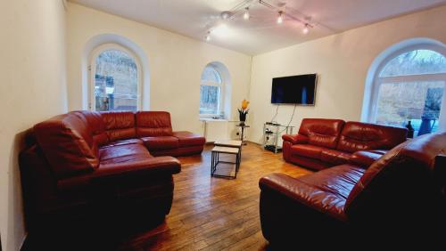 Il comprend un salon doté d'un mobilier en cuir et d'une télévision à écran plat. dans l'établissement Maison de maître & spa, à Cornimont