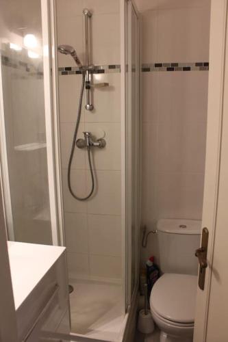 une salle de bain avec douche et toilettes dans l'établissement Studio centre-ville Rueil-Malmaison - proche RER A, à Rueil-Malmaison