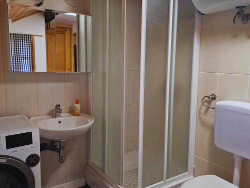 a bathroom with a shower and a sink and a toilet at Kuća za odmor Vuketich hills in Ozalj