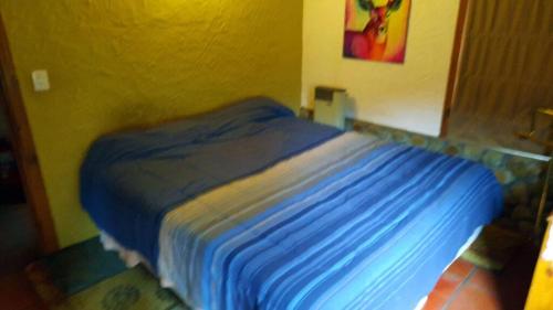 En eller flere senge i et værelse på Casa Los Coihues