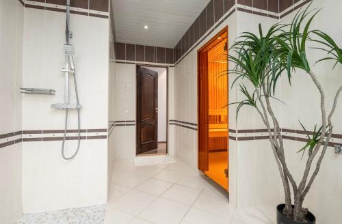 a bathroom with a shower and a potted plant at Mugav suurepärase vaatega korter in Viljandi