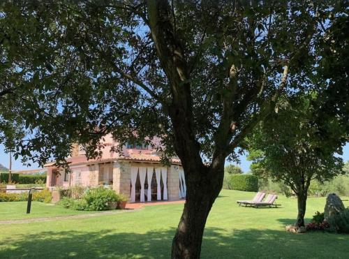 a large building with a tree in front of it at Villa Mariachiara - L'oasi verde in San Pantaleo