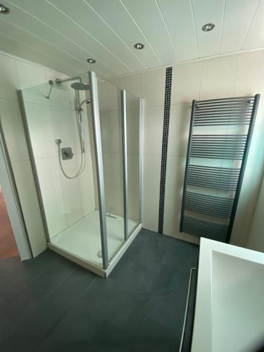 bagno con doccia e cabina in vetro di Westpark Appartment - 15min zum Zentrum a Norimberga