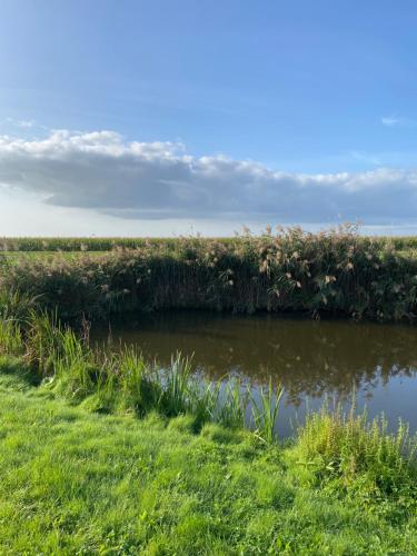 a field of grass with a river in the middle at Ecolodge Almere in Almere