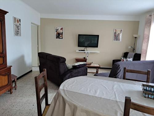 un salon avec un canapé et une télévision dans l'établissement Maison du Verdouble, à Rouffiac-des-Corbières