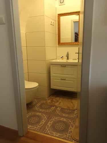 een badkamer met een toilet, een wastafel en een spiegel bij Rezidenca Sv. Peter in Malečnik