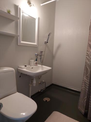 a bathroom with a white toilet and a sink at LOMALA in Iisalmi
