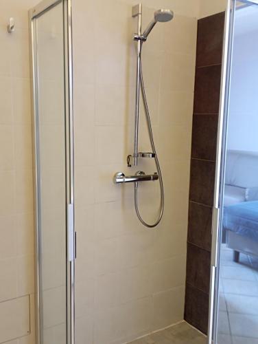 W łazience znajduje się prysznic ze szklanymi drzwiami. w obiekcie Camere Girasole w mieście Lazise