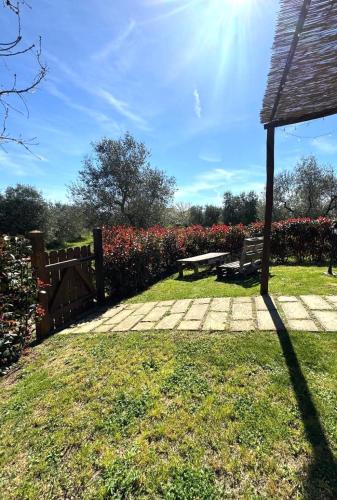 Giardino di Agriturismo Poggio Degli Ulivi