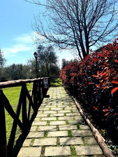 Giardino di Agriturismo Poggio Degli Ulivi