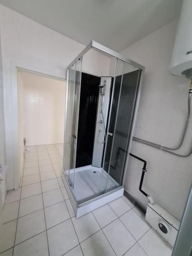 um chuveiro com uma porta de vidro na casa de banho em Pension Calenius em Erfurt