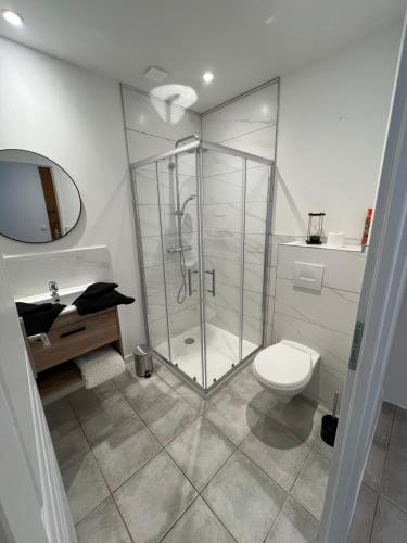 une salle de bain avec douche et toilettes dans l'établissement Grand studio avec véranda et parking, à Auch