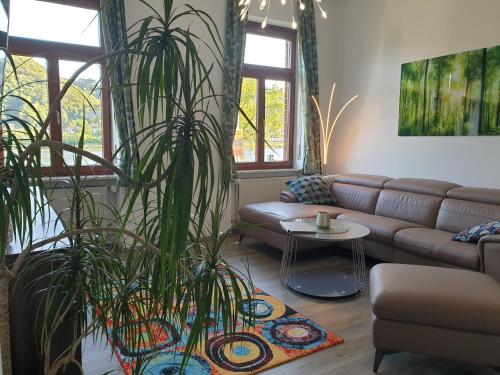 a living room with a couch and a plant at Loreleyquartier in Sankt Goarshausen