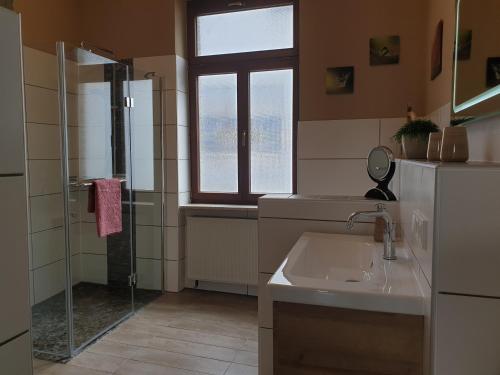 a bathroom with a shower and a sink and a window at Loreleyquartier in Sankt Goarshausen