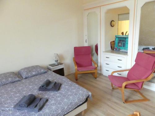 1 dormitorio con 2 sillas rosas y 1 cama en Studio Grand Hôtel, en Châtel-Guyon