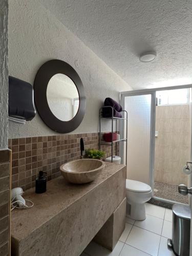 a bathroom with a sink and a toilet and a mirror at Casa Petfriendly Bosque de la Primavera in Guadalajara