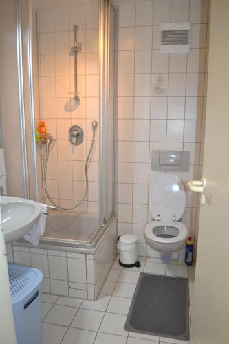 a bathroom with a shower and a toilet and a sink at Zentrale Eigentumswohnung + kostenlosem Parkplatz in Sindelfingen