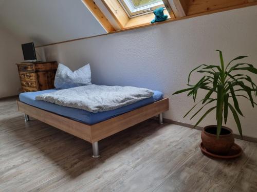 - une chambre avec un lit et une plante en pot dans l'établissement Haus Ziegenblick, à Herbolzheim