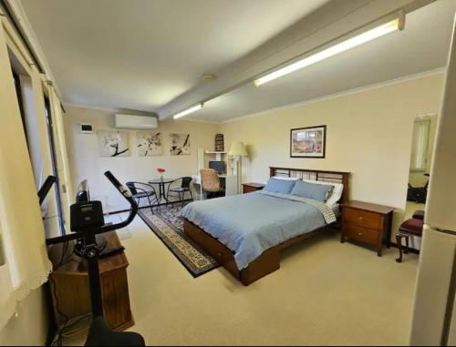 a bedroom with a bed and a television in it at Cosy Unit at Modbury in Modbury