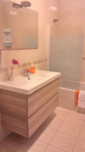 Lovely 2 Bedroom S Jose Apartment
