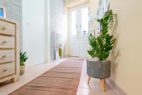 a hallway with a potted plant in front of a door at Montellino's Suite Oro in SantʼAntìoco