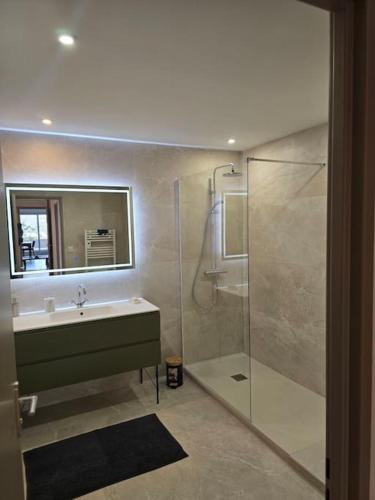 une salle de bain avec une douche, un lavabo et un miroir dans l'établissement l'appart', à Marseille
