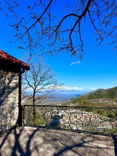 a fence with a tree on top of it at Martina in Cetinje