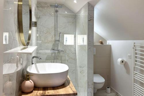 La salle de bains est pourvue d'une baignoire, d'une douche et de toilettes. dans l'établissement Le Sérénité, T2 Hyper centre, calme et cosy, à Annecy