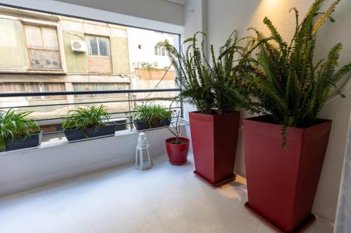 three potted plants sitting on a window sill at SKG City Cabin in Thessaloniki