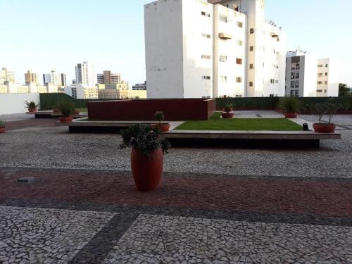 a vase with a plant in the middle of a courtyard at Maravilhoso apartamento 2 quartos com ofurô Porto da Barra Salvador Summer Barra Flat in Salvador