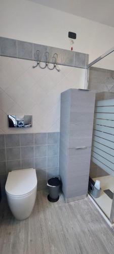 a bathroom with a white toilet in a room at Appartamento Althea in Basiano