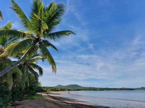 a palm tree on a beach near the water at Long Beach Resort, Nosy Be in Nosy Be