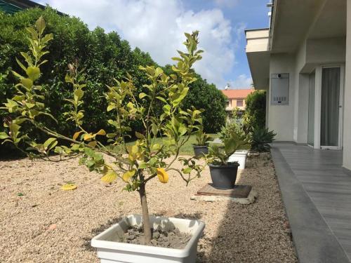 Photo de la galerie de l'établissement Villa Kaila, à Montallegro