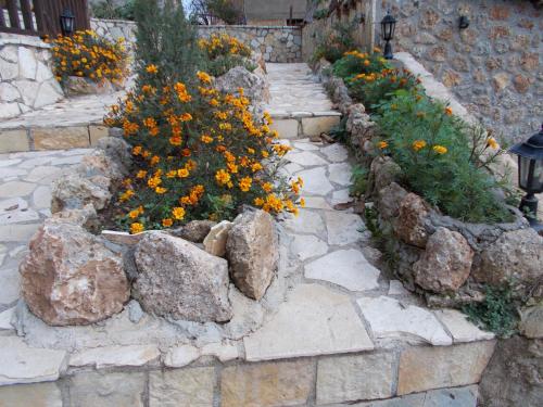 a garden with rocks and flowers in a yard at Theasis suites-Ορεινή Φιλοξενία in Kato Trikala Korinthias