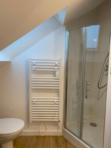 サン・ナゼールにあるL’Espadonのシャワーとトイレ付きのバスルーム