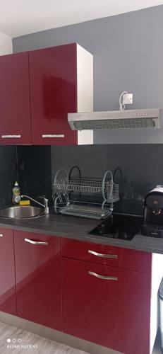 une cuisine avec des armoires rouges et un évier dans l'établissement Chez ANNE-SOPHIE, à Villeurbanne