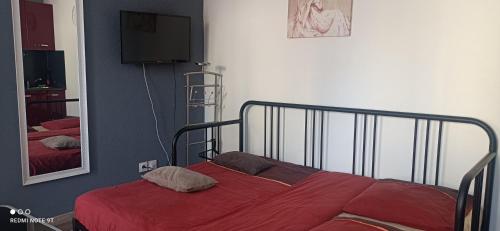 Cette chambre comprend un lit avec une couverture rouge et une télévision. dans l'établissement Chez ANNE-SOPHIE, à Villeurbanne
