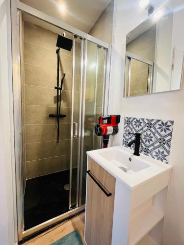 a bathroom with a sink and a shower at L’appartement lumière in Bourg-en-Bresse