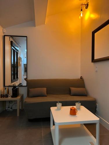 un salon avec un canapé et une table dans l'établissement Studio villeurbanne, à Villeurbanne