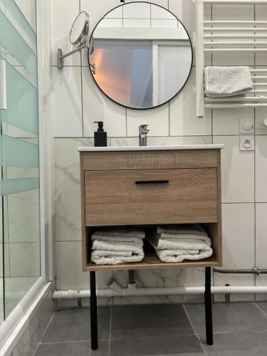 une salle de bain avec un lavabo et un miroir dans l'établissement Studio villeurbanne, à Villeurbanne