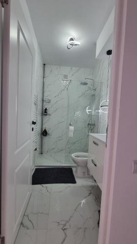 a white bathroom with a shower and a toilet at Apartament pe pietonala nr1 in Hunedoara