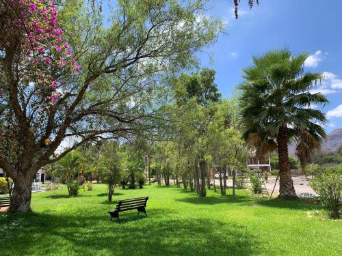 a park with a park bench and a palm tree at Casa Hacienda Nasca Oasis in Nazca