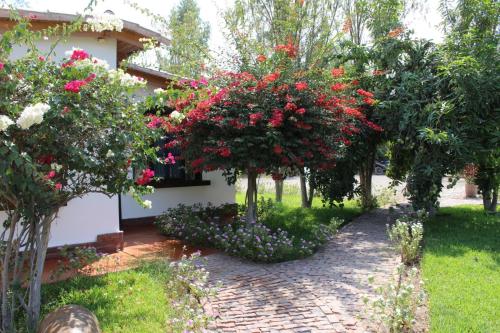 a garden with red flowers and trees and a building at Casa Hacienda Nasca Oasis in Nazca