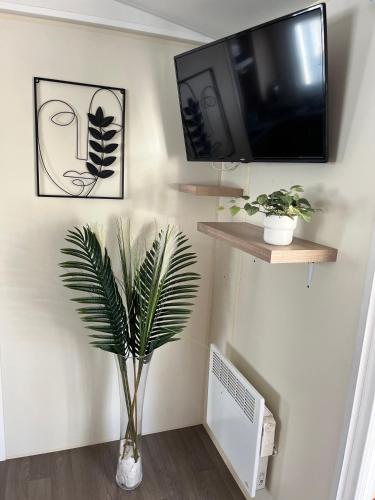 un salon avec une télévision et une plante sur un mur dans l'établissement Bungalow Vias Plage, à Vias