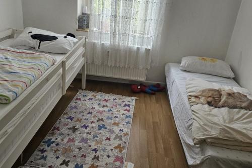 1 dormitorio con 2 camas individuales y alfombra en Private Apartment en Hannover