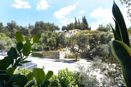 Hill View Apartment near Acropolis